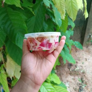 Custard Pudding